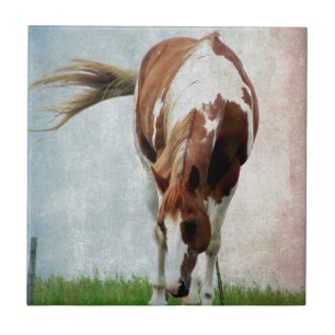 Carreau Jument voyante de cheval de peinture