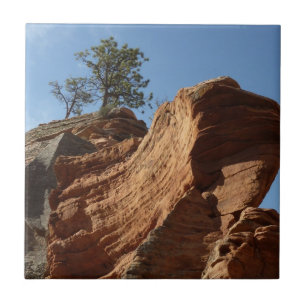 Carreau Jusqu'à Angels Landing dans le parc national de Zi