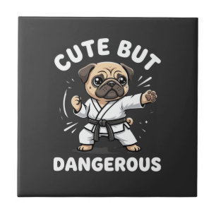 Carreau Karate de pug mignon mais dangereux