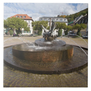 Carreau Karlsplatz (place Charles), vieille ville de Heide