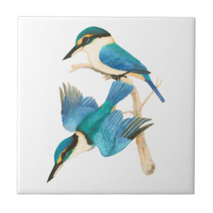 Carreau Kingfisher Birds Aquarelle Blanc