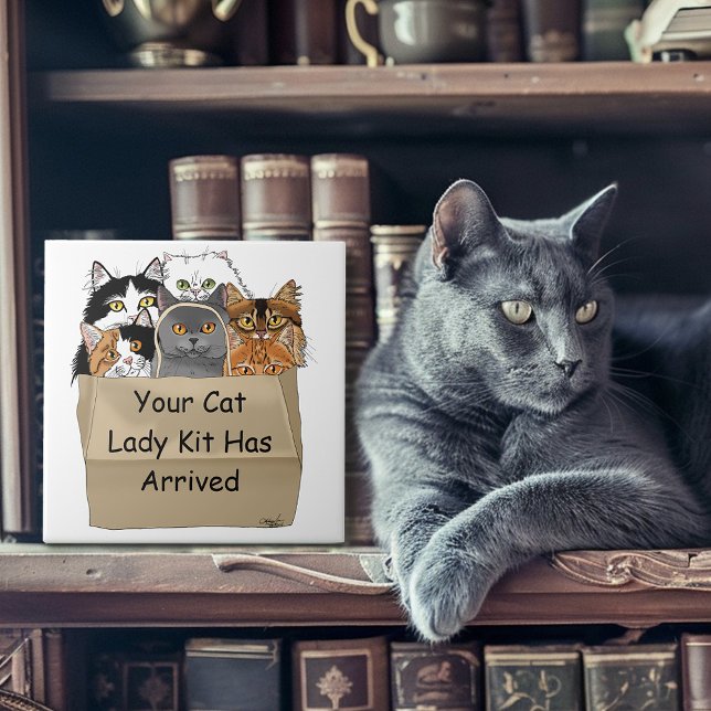 Carreau Kit de démarrage de Dame aux chats (Créateur téléchargé)