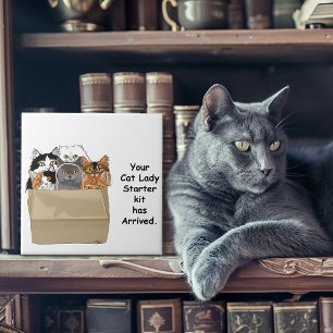 Carreau Kit de démarrage de Dame Chats Drôles Humour Blanc