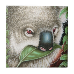 Carreau Koala mâchant une tuile de feuille