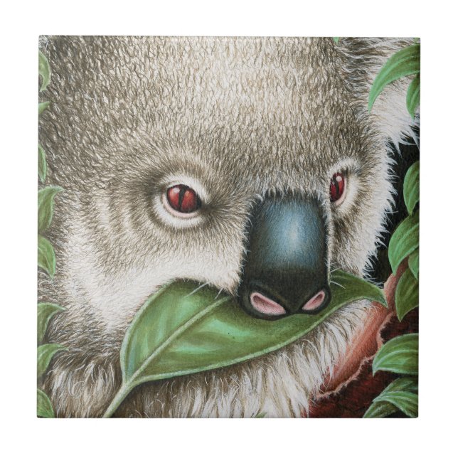 Carreau Koala mâchant une tuile de feuille (Devant)