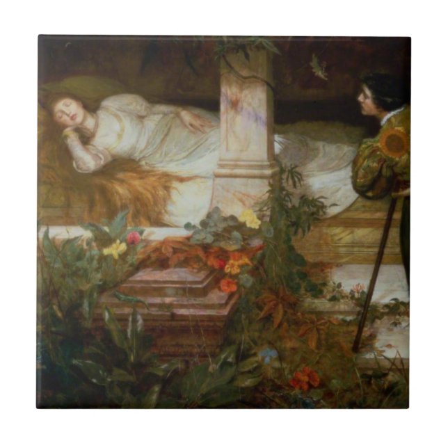 Carreau La Belle au Bois Dormant (Douce Princesse du Conte (Devant)
