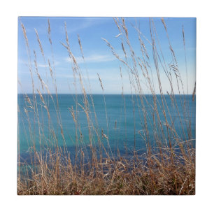 Carreau La belle Herbe et Mer