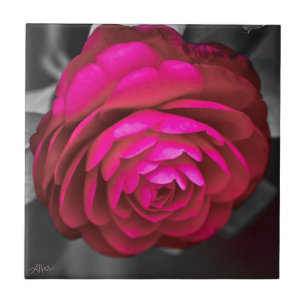 Carreau La Camélia rose