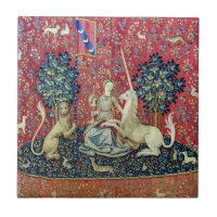 La Dame et la licorne, Vue