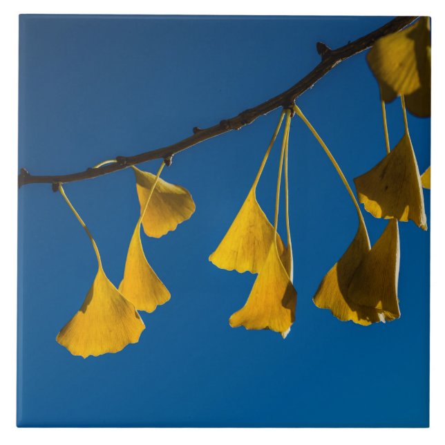 Carreau La danse en automne (Devant)