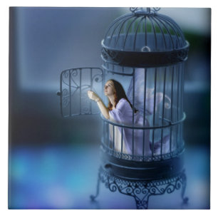 Carreau La fée lui échappant a doré la cage