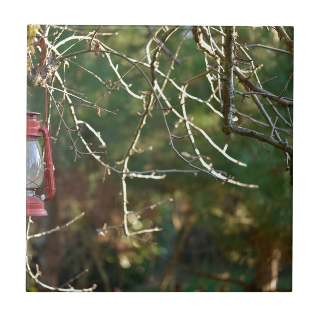 Carreau La lanterne (Devant)