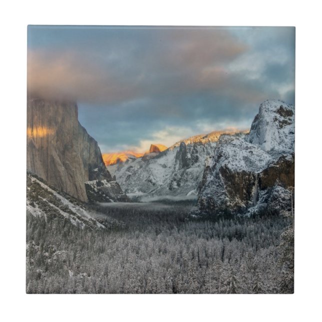 Carreau La marque de l'hiver (Devant)