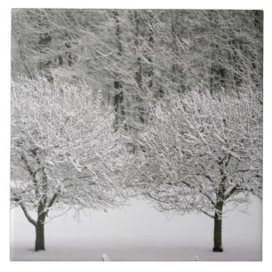 Carreau La neige a couvert le paysage