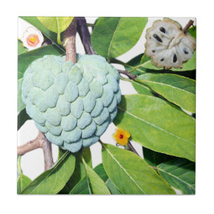 Carreau La pomme-cannelle - Verre à shot