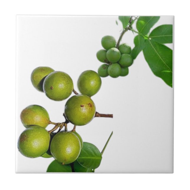 Carreau La quenette  (Devant)