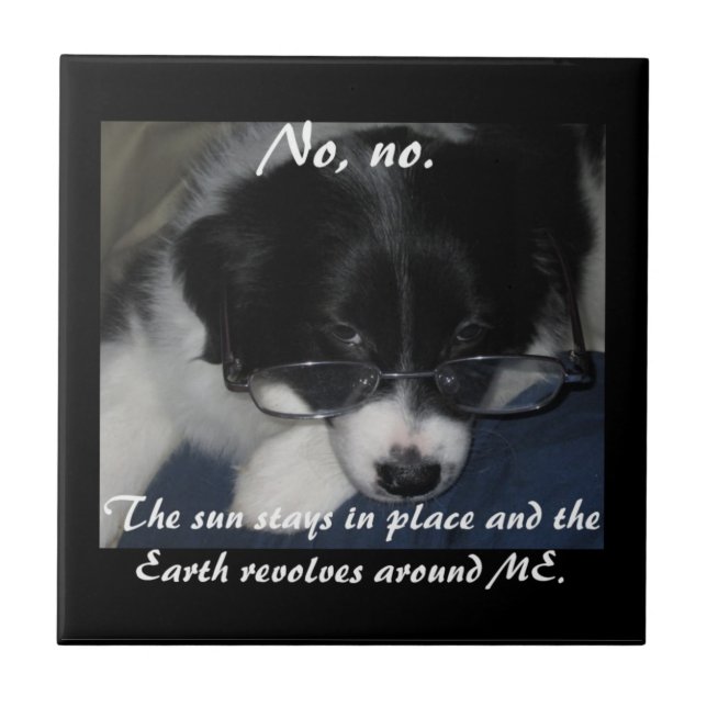 Carreau "La Terre tourne autour de MOI" Tuile (Devant)