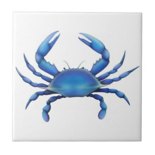 Carreau La tuile de crabe bleu
