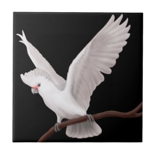 Carreau La tuile de perroquet de cacatoès de Goffins