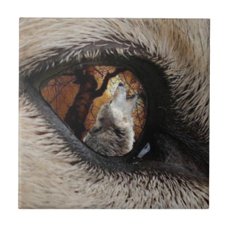 Carreau La tuile ou le trépied d'observateur