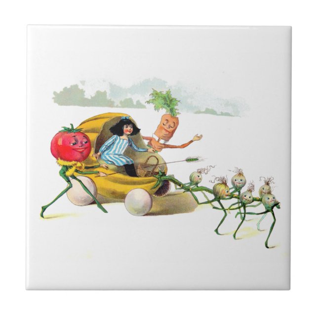 Carreau La vengeance des Vege-Hommes (Devant)