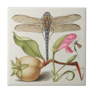 Carreau La vie du jardin, Libellule, Poire, Œillet et Inse
