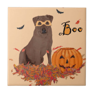 Carreau Labrador Retriever Chocolat Boo!