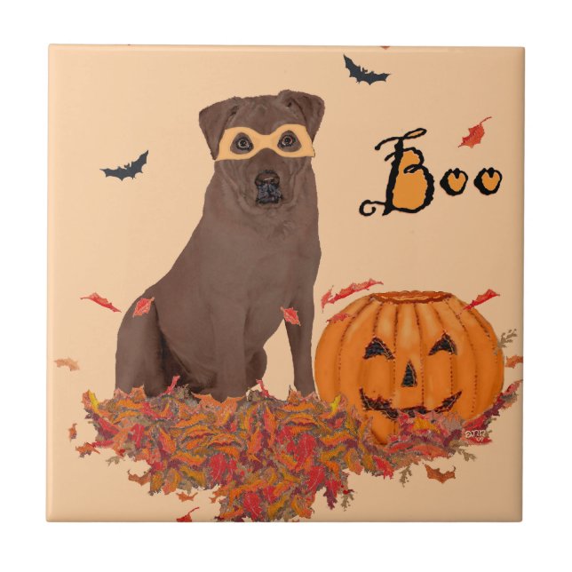 Carreau Labrador Retriever Chocolat Boo! (Devant)
