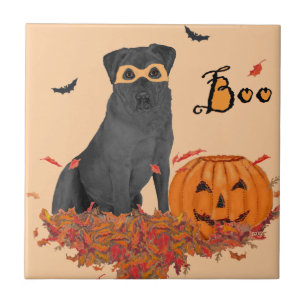 Carreau Labrador Retriever Noir Boo!
