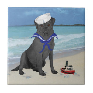 Carreau Labrador Retriever Noir Marin