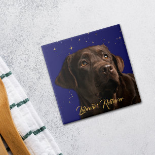 Carreau Labrador Retriever Portrait Starry Sky Arrière - p