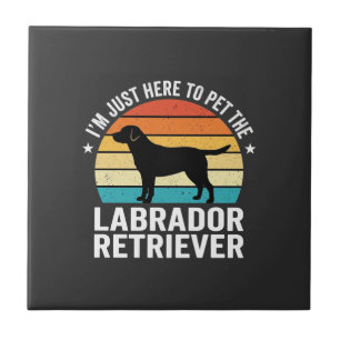 Carreau Labrador Retriever Rétro Caresse de Chien