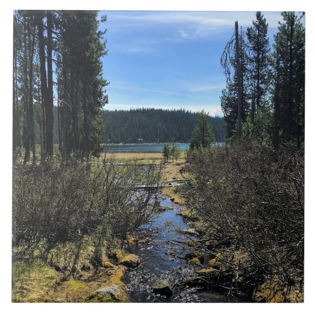 Carreau Lac Elk, OR (Devant)