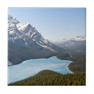Carreau Lac Peyto - Parc national de Banff, Alberta, Canad