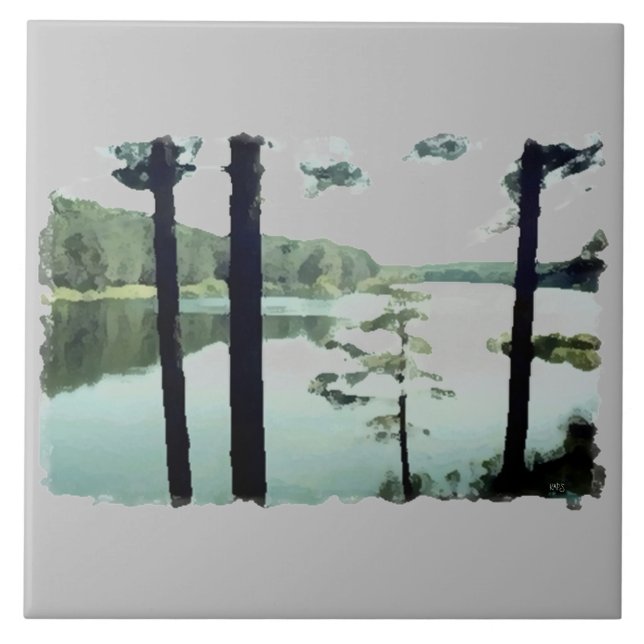 Carreau Lakeview Lake Photographie Abstraite (Devant)