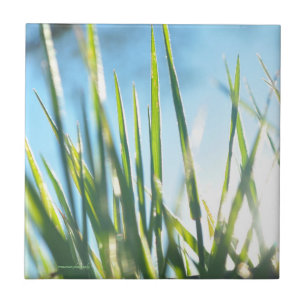 Carreau Lames éclairées