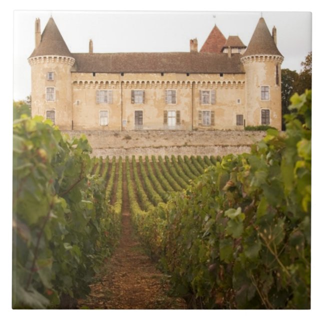 Carreau L'ancien château médiéval de Rully dans la Cote (Devant)