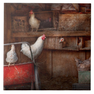 Carreau L'animal - poulet - le canard est un espion
