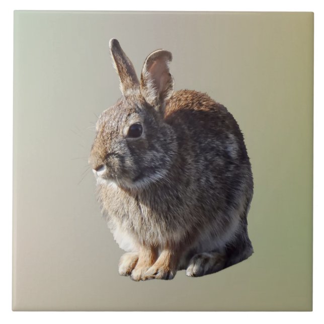 Carreau Lapin assis (Devant)