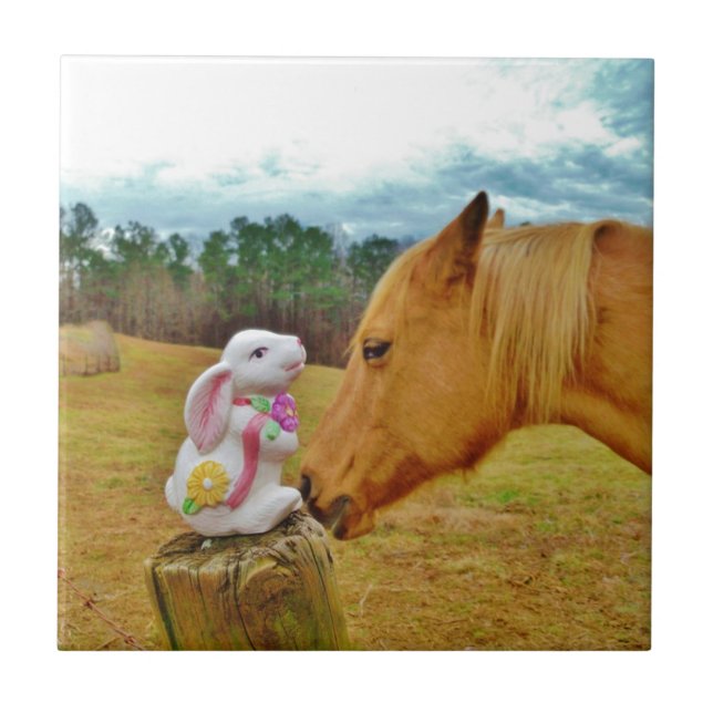 Carreau Lapin blanc et Cheval jaune (Devant)