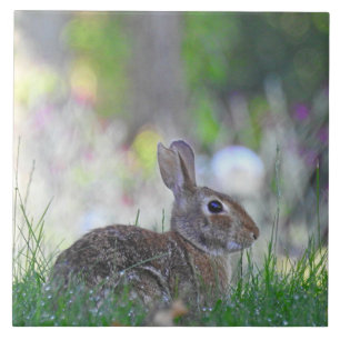 Carreau Lapin sauvage dans l'herbe