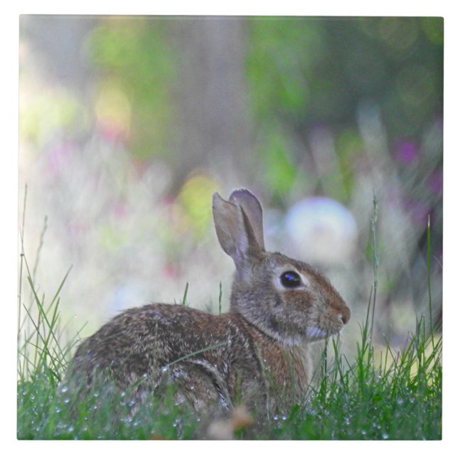 Carreau Lapin sauvage dans l'herbe (Devant)