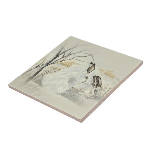 Carreau Lapins/lapins