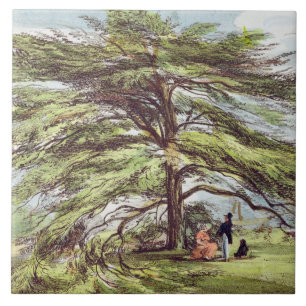Carreau L'arbre de cèdre du Liban dans l'arborétum, Kew