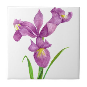 Carreau L'art botanique floral violet d'Iris