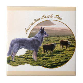 Carreau L'art du chien de bétail australien