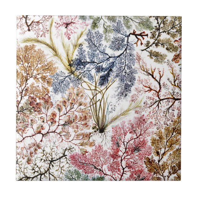 Carreau L'art en tissu de soie d'algues (Devant)