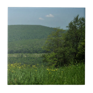 Carreau Laurel Highlands Pennsylvania Summer Photography