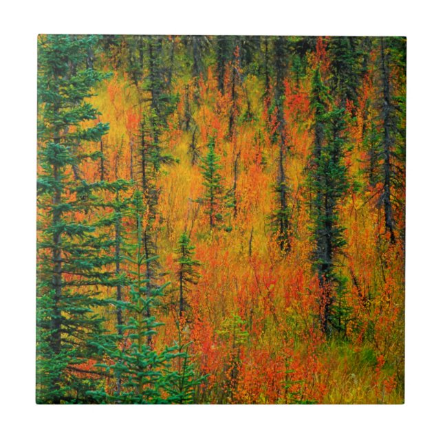 Carreau L'automne dans une prairie (Devant)
