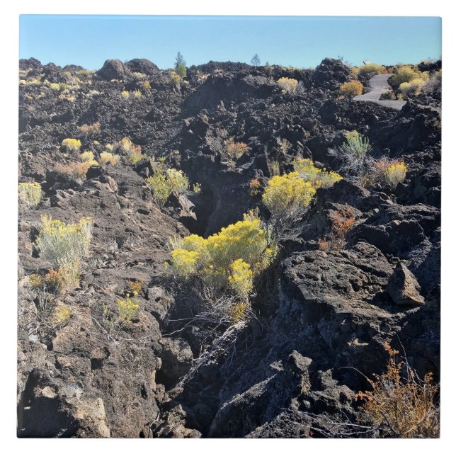 Carreau Lava Butte Trail (Devant)